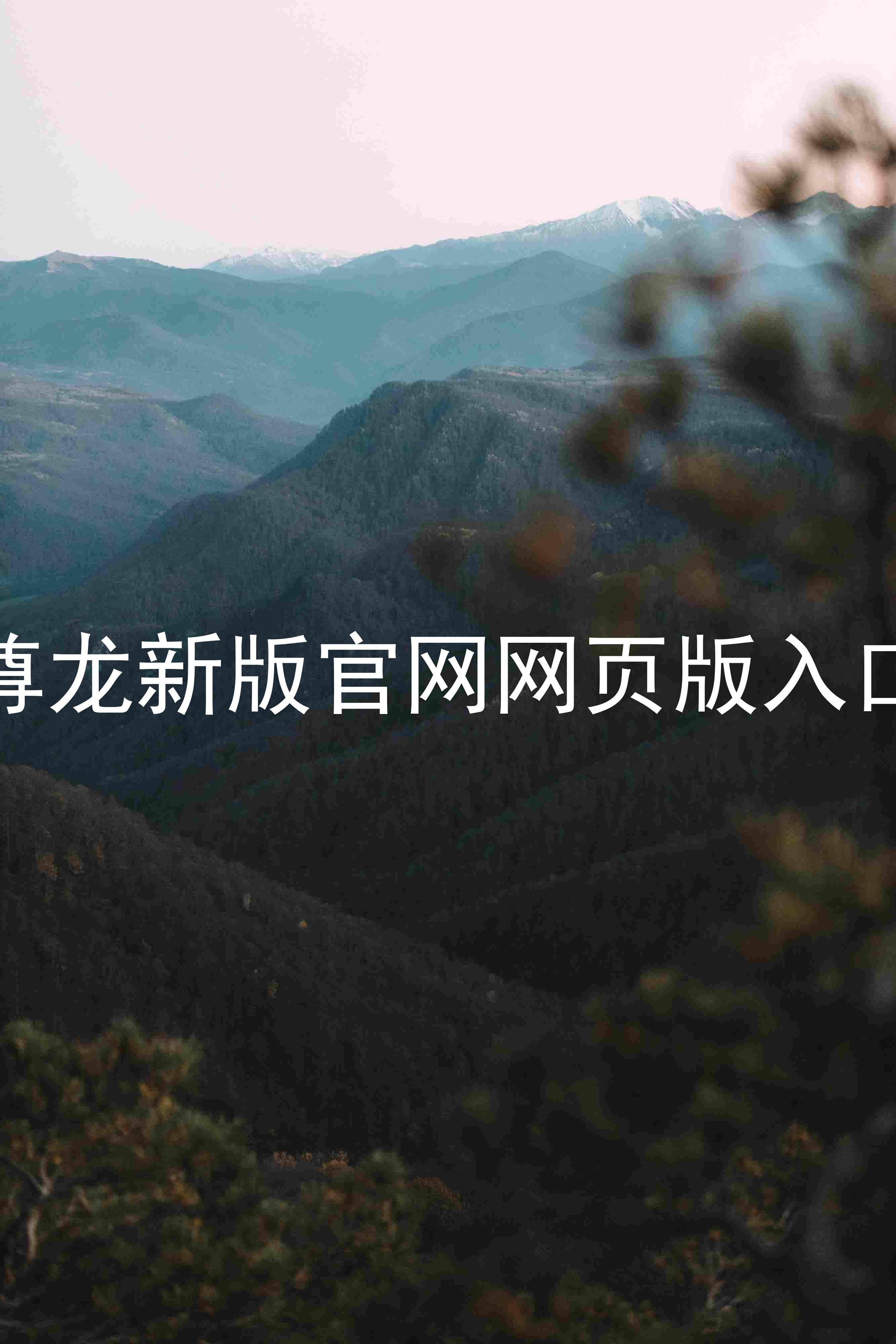 尊龙新版官网网页版入口