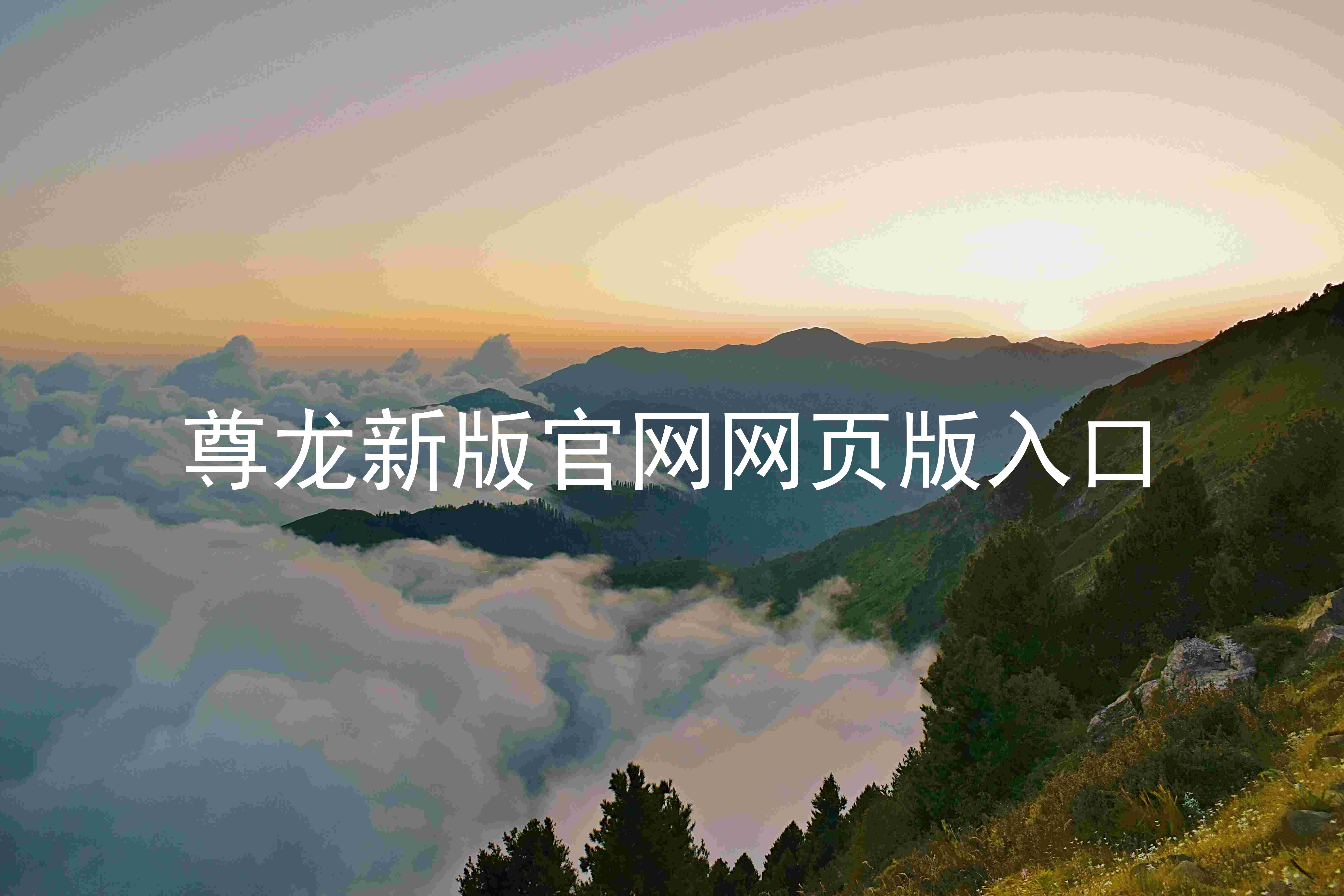 尊龙新版官网网页版入口