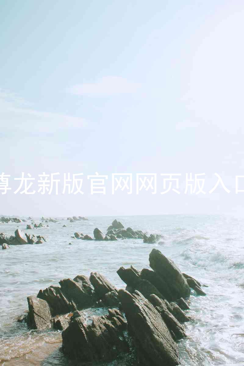 尊龙新版官网网页版入口