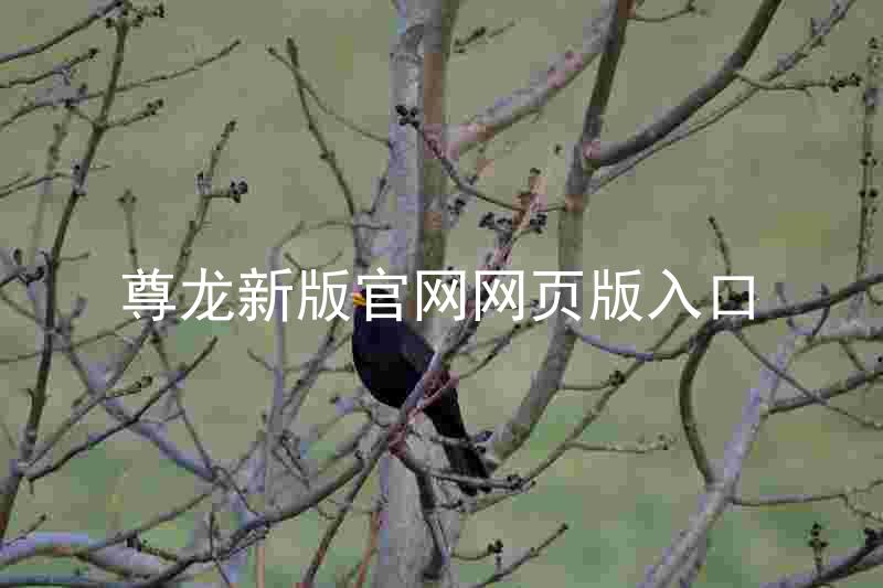 尊龙新版官网网页版入口
