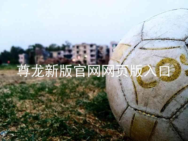 尊龙新版官网网页版入口
